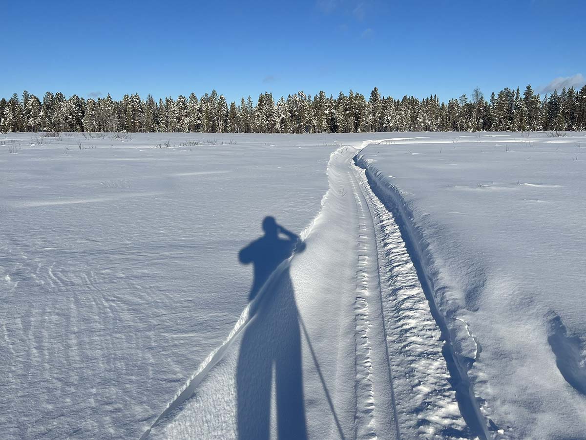 Skidåkning myrar