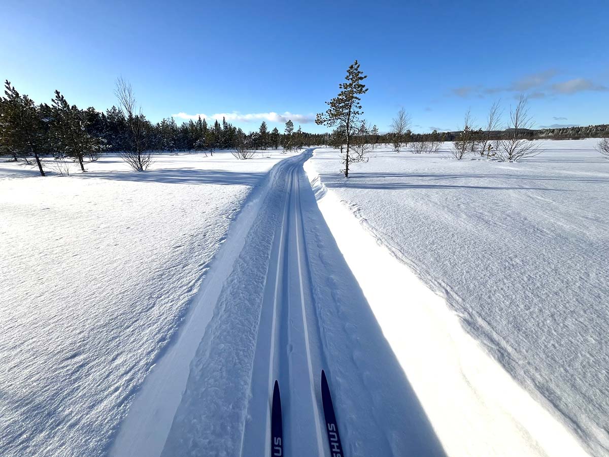 Skidåkning i vackra Västerbotten