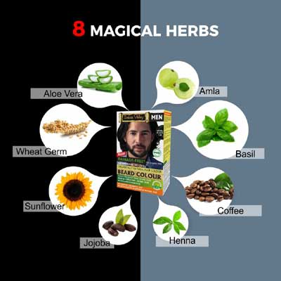 8 megical herbs