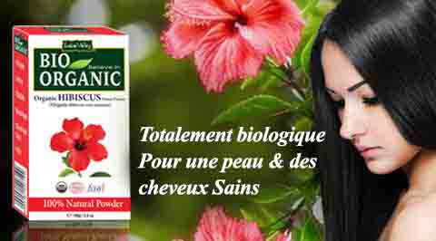 Hibiscus bio – Le pouvoir des fleurs exotiques pour votre peau I