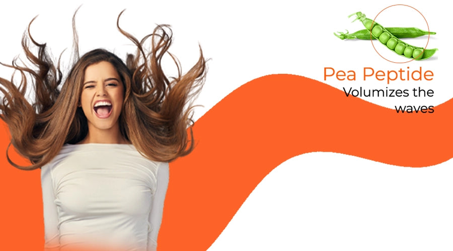 pea peptide volumizes the hair