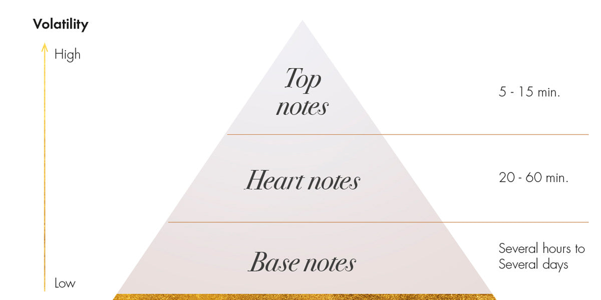 The Fragrance Pyramid – Parfumerie Nasreen