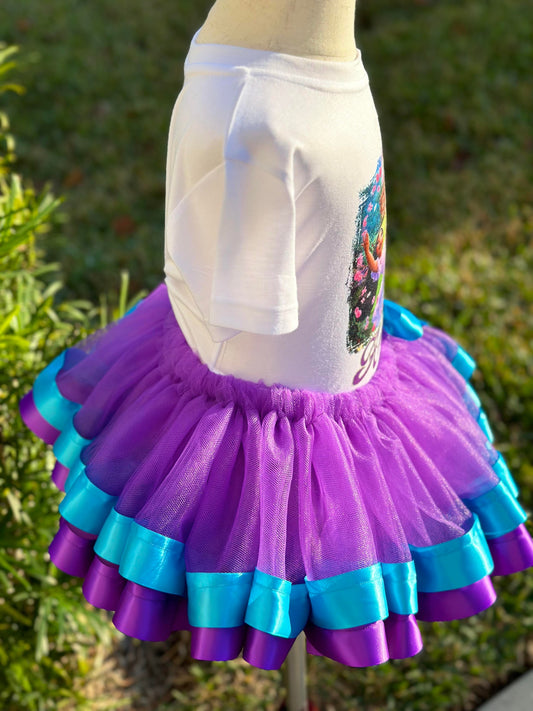 BL05 - Bluey and Bingo Birthday Custom Rainbow Fancy Tutu Outfit Set D –  Sweet Tutus