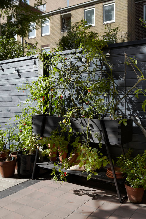 A new tribe dalston town house styling tomato outdoors