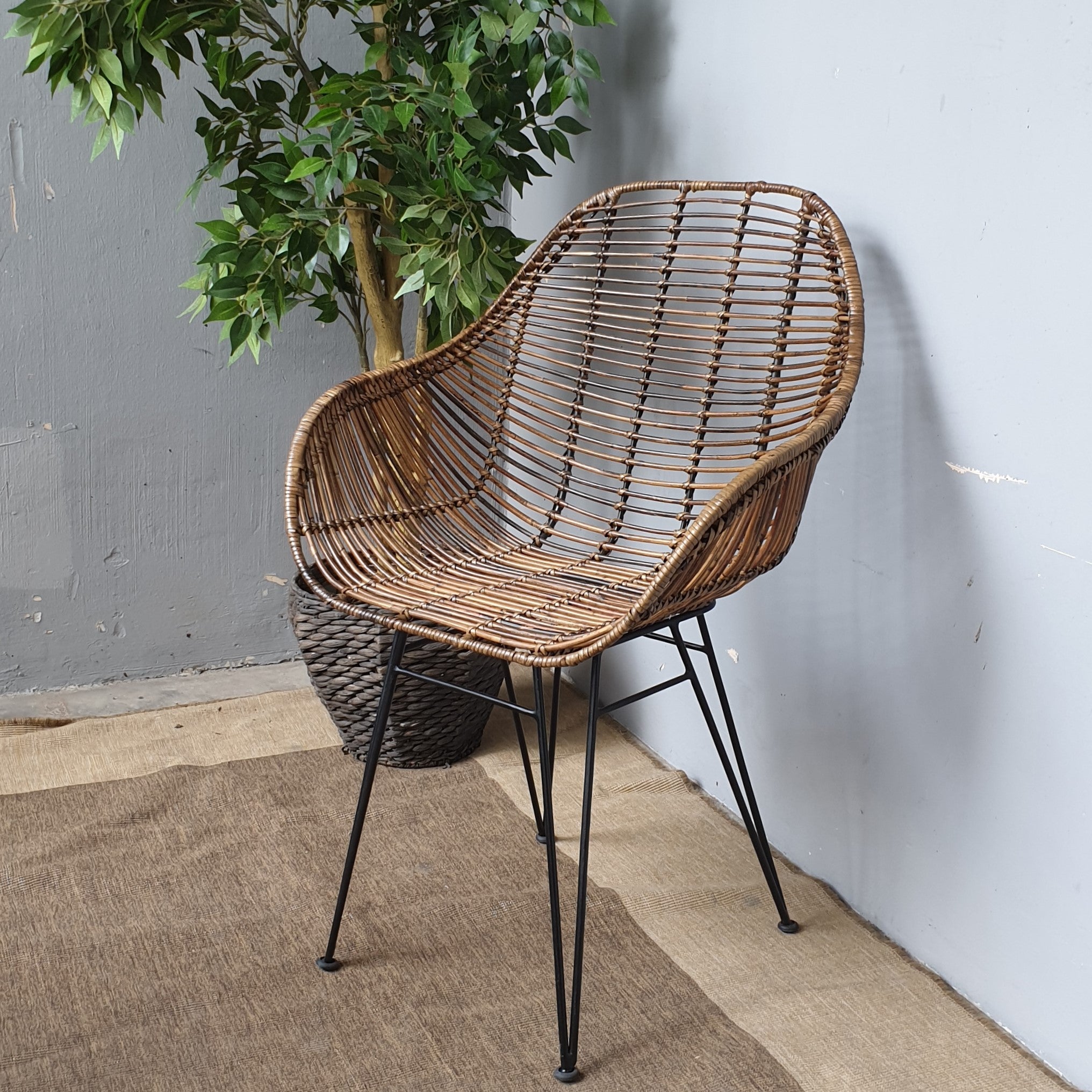 studio value wicker egg chair