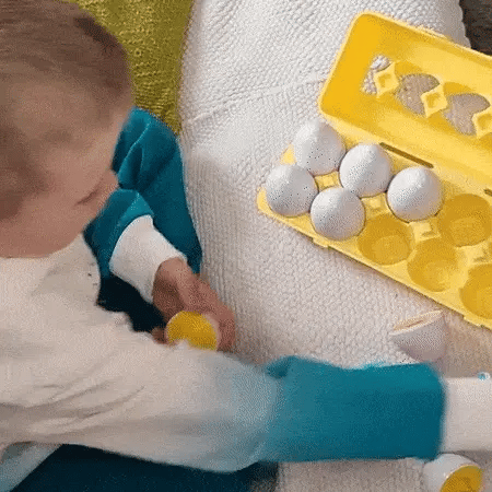 Caixa de Ovos Mágicos Montessori Educativo – tom toys