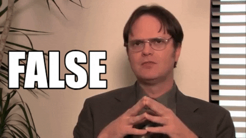 False Dwight Schrute