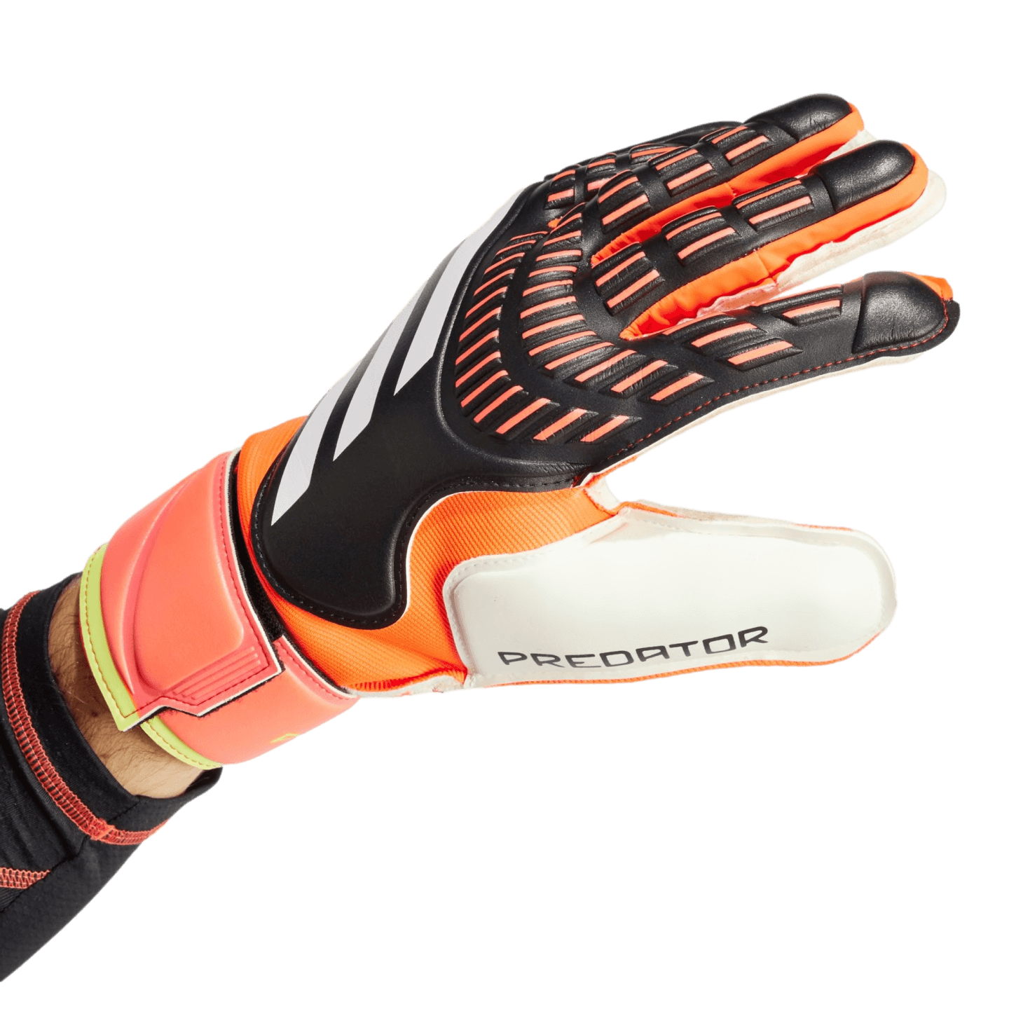 Adidas Predator Match Goalkeeper Gloves