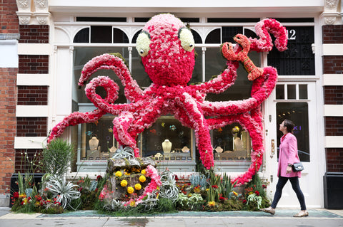 chelsea in bloom, sloane square, flower show