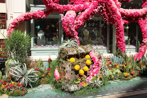 chelsea in bloom, sloane square, flower show