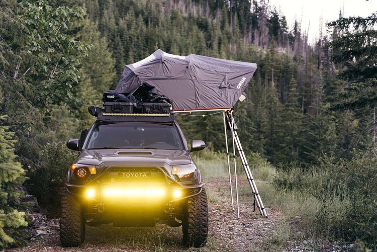 Soft-Shell Rooftop Tent in wildlife