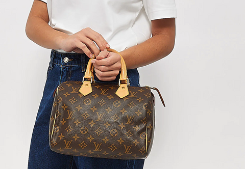 woman holding speedy louis vuitton bag