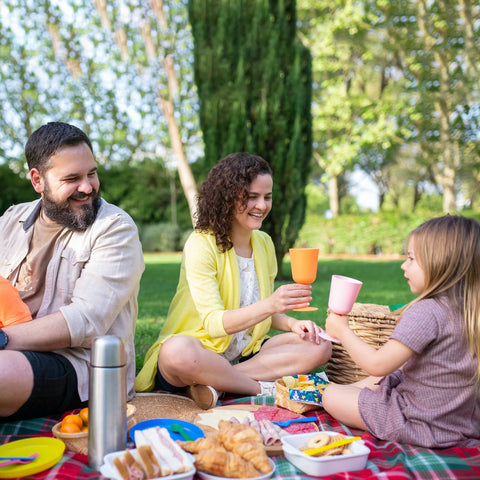 family-enjoying-a-picnic-in-the-summer