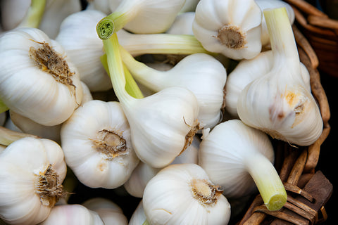 Whole Garlic Assortment