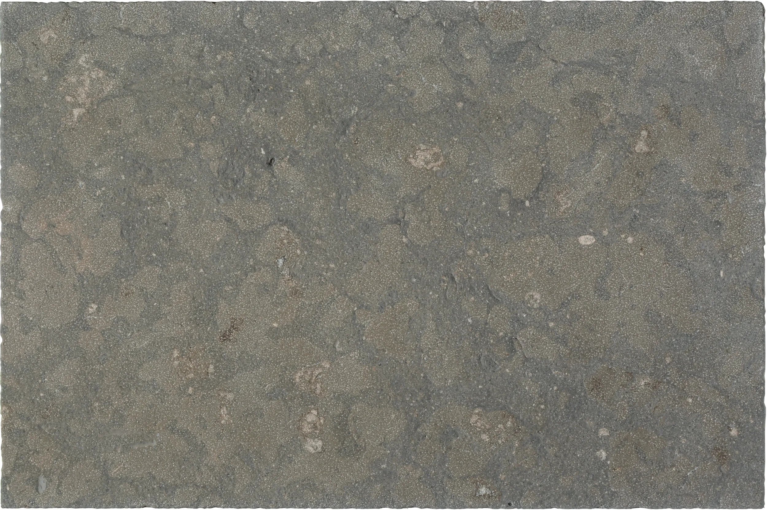 Aspire Stone Limestone 16" x 24" Limestone Tile
