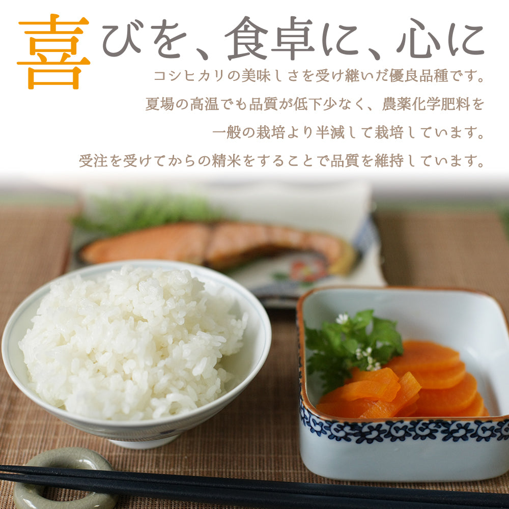 新米 令和度産 新潟県産 特別栽培米 こしいぶき  ファーミング