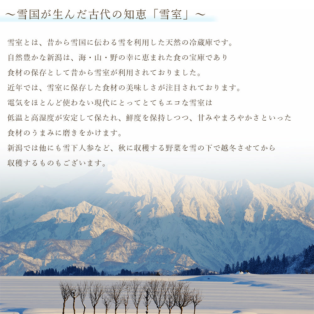 雪室