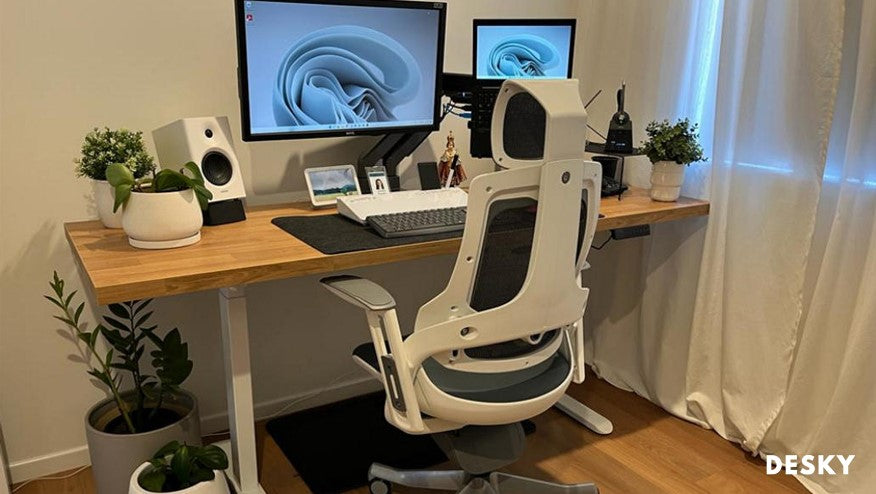 Office chair and desk accessories