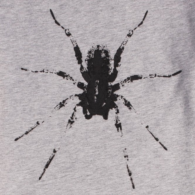 Lanvin Boys Spider Logo T-shirt Grey 10Y