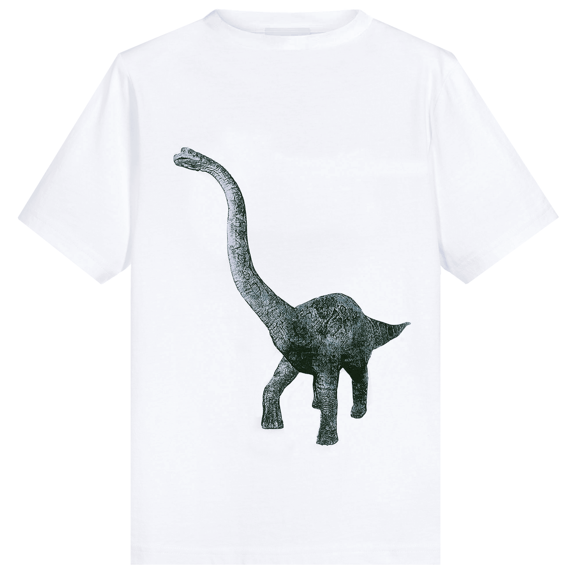 Lanvin Boys Dinosaur T-shirt White 10Y