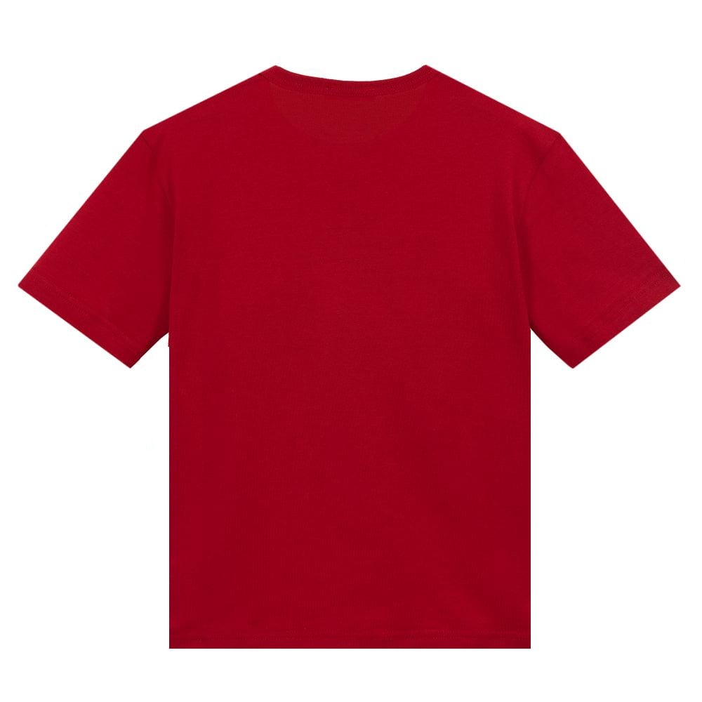 Dolce & Gabbana Boys Tiger T-shirt Red 6Y