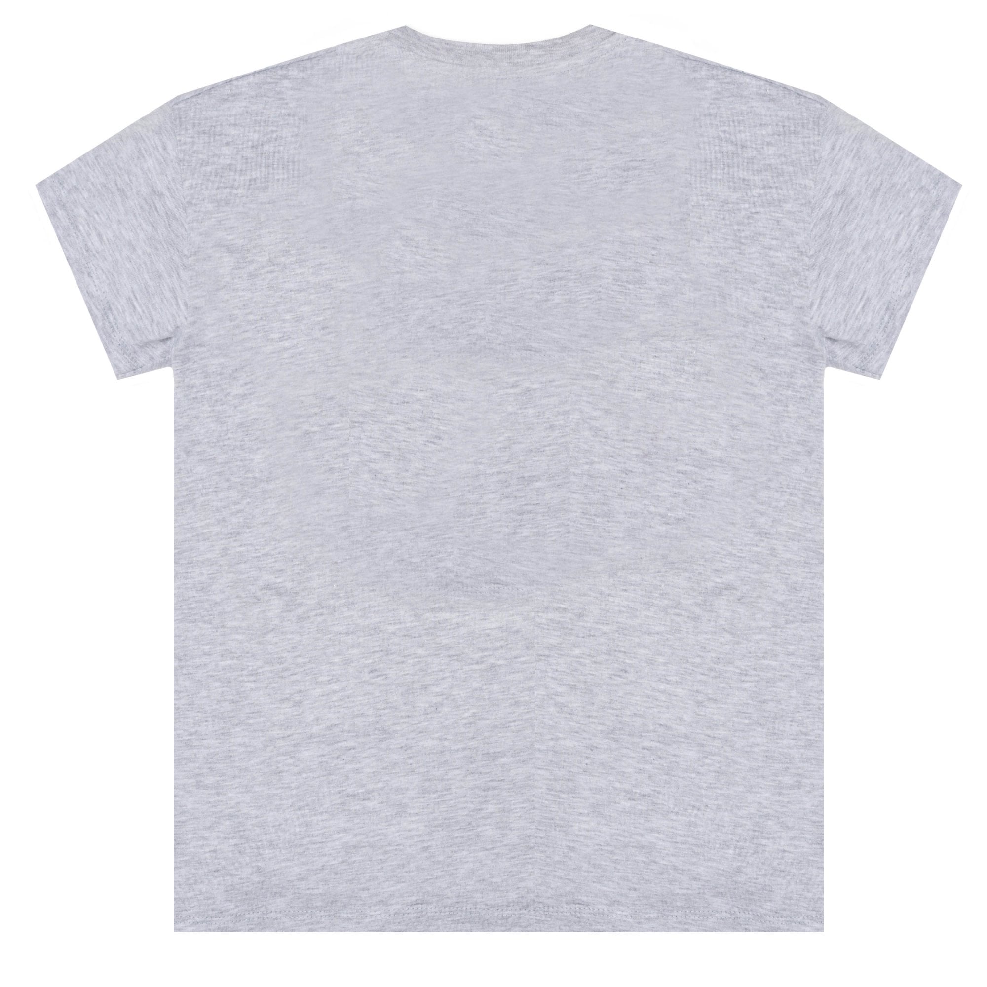 Kenzo Boys Tiger T-shirt Grey 8Y