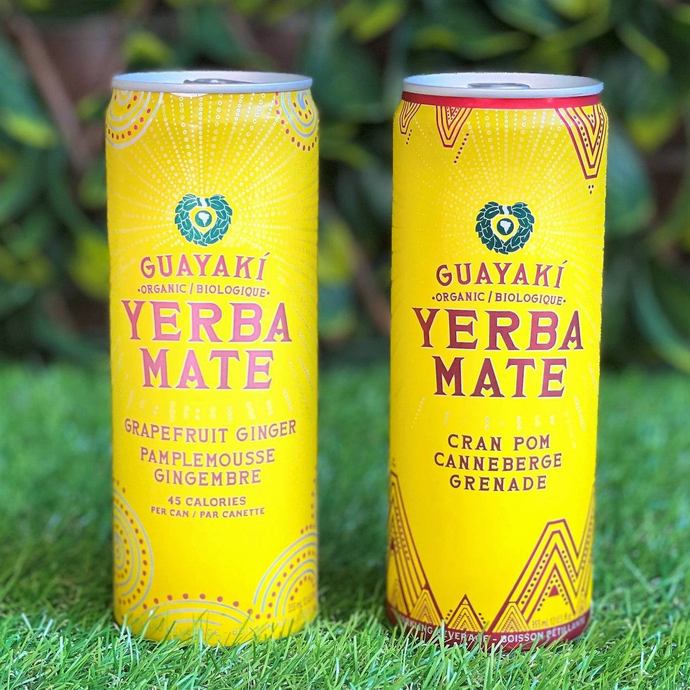 yerba mate drink flavors