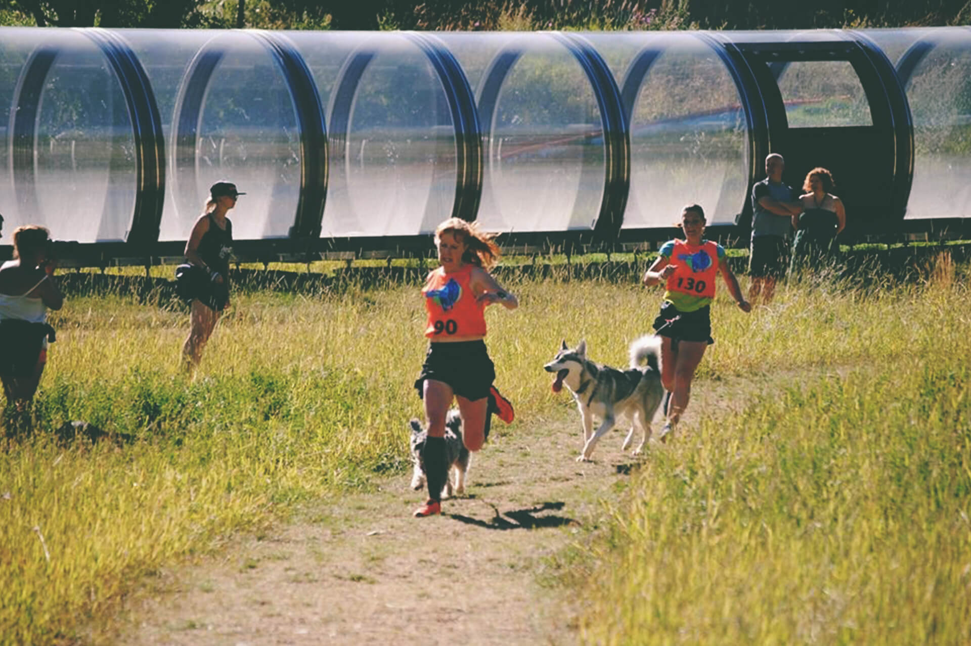 cyklus Margaret Mitchell spiralformet Canicross: Why nothing beats running with your dog!