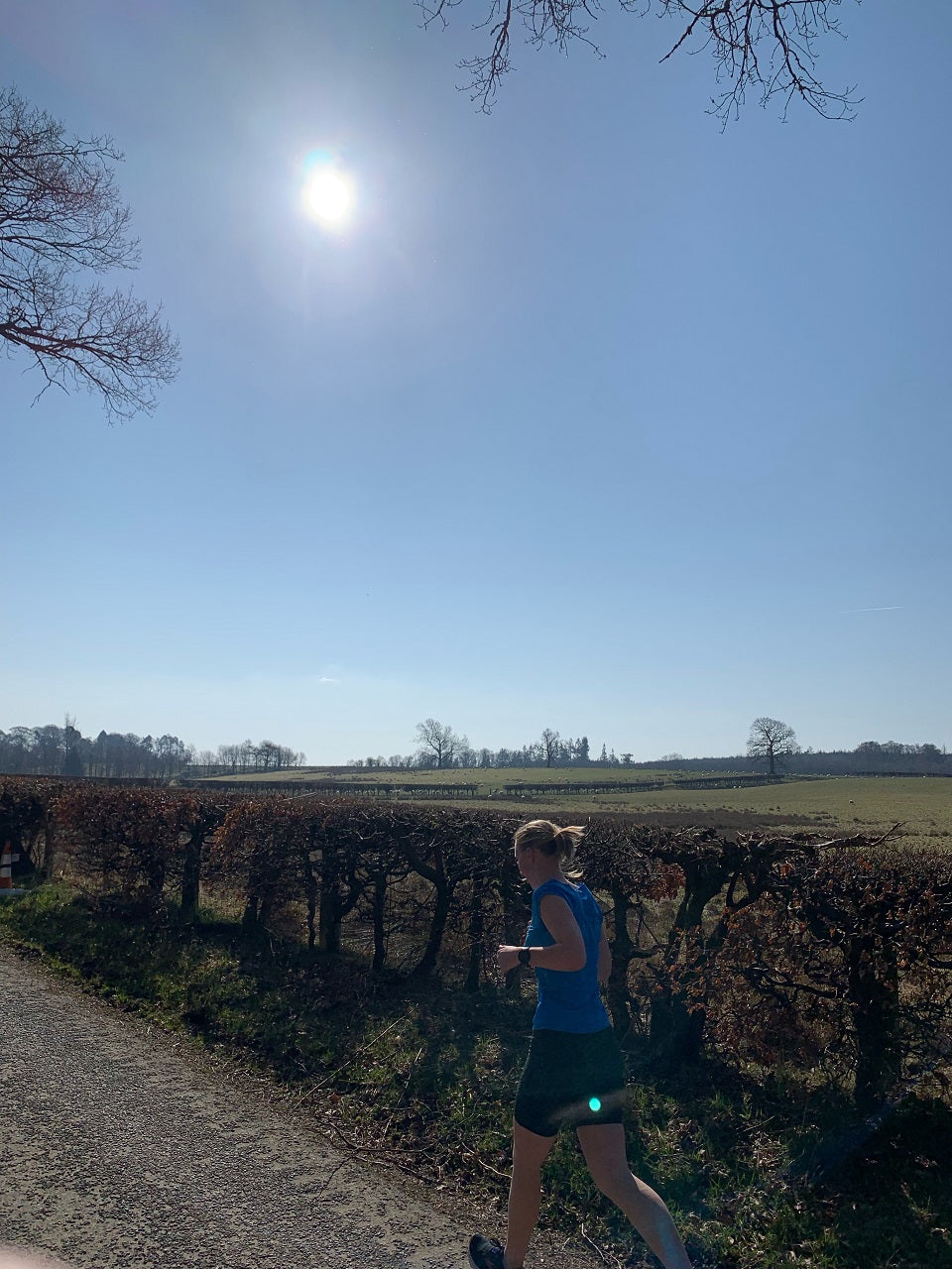 runner running along a hedgerow in the sun