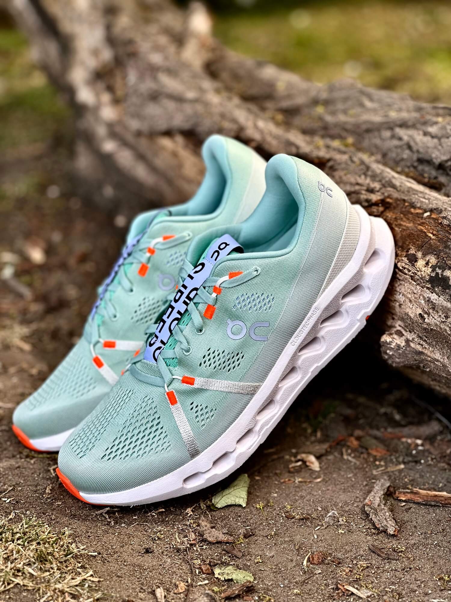 Pair of On Cloudsurfer running shoes propped against a log