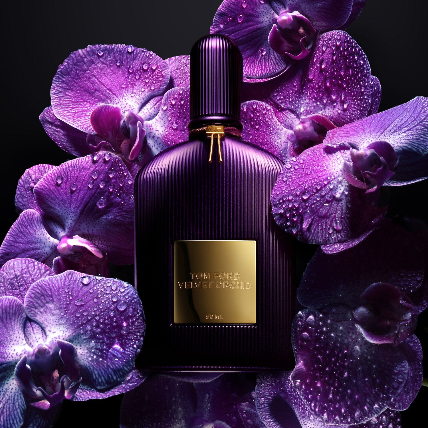 Tom Ford Velvet Eau De Parfum Orchid For Women 100ml | Perfume – Feel22Egypt