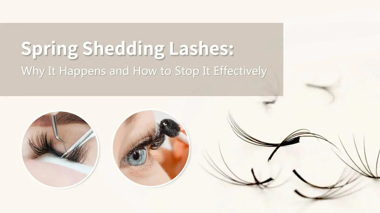 Spring-Shedding-Lashes-Why-It-Happens-and-How-to-Stop-It-Effectively Swaniyalashes