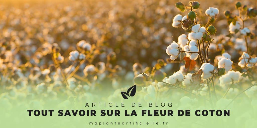 La fleur de coton, idéale pour une déco chic & tendance – Ma Plante  Artificielle