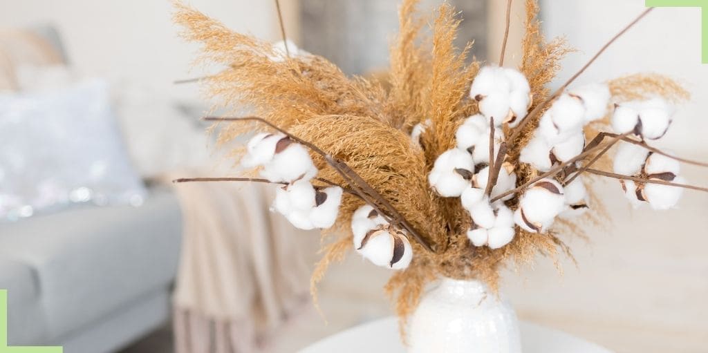 La fleur de coton, idéale pour une déco chic & tendance – Ma Plante  Artificielle