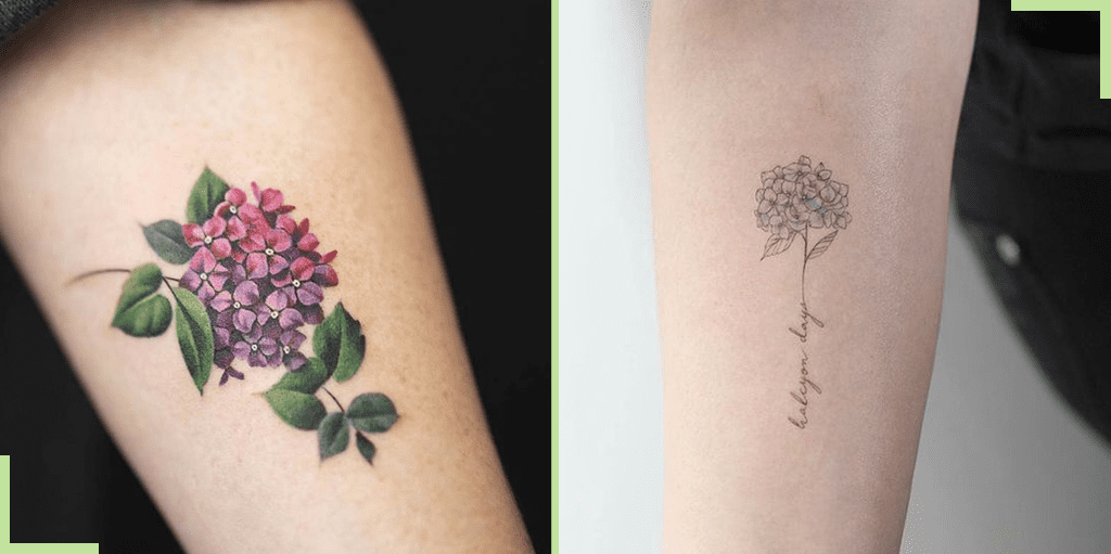 fleur hortensia tatouage 