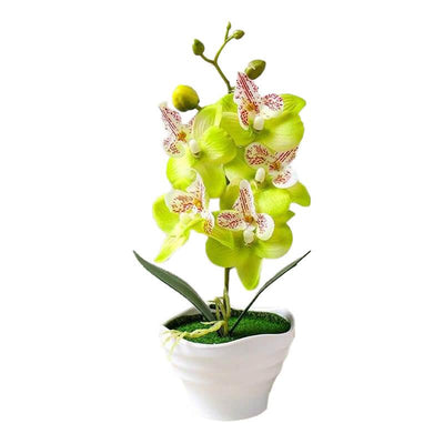 Cette image montre une orchidée artificielle verte dans un pot. Cette fausse orchidée est pas cher.