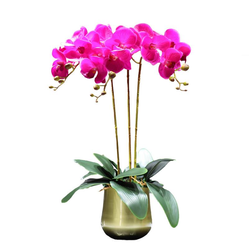 Orchidée Artificielle Réaliste – Ma Plante Artificielle