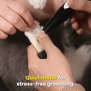 Never cut your pet’s skin again