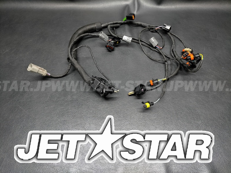 GTX LTD iS 255'09 OEM (Electrical-Harness-1) MAIN HARNESS Used [S2540-