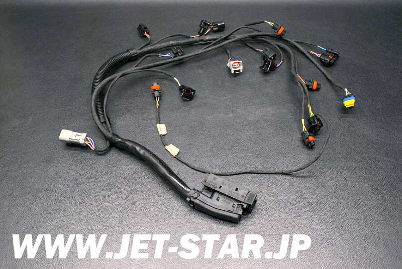 SEADOO RXT 215 '09 OEM ENGINE WIRING HARNESS ASS'Y Used [S546-047]