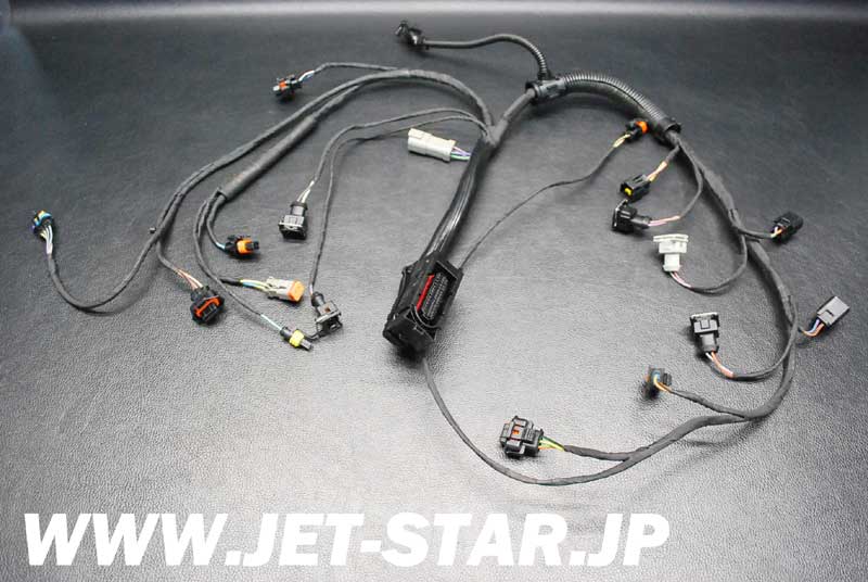 SEADOO RXT 215 '09 OEM ENGINE WIRING HARNESS ASS'Y Used [S546-047]