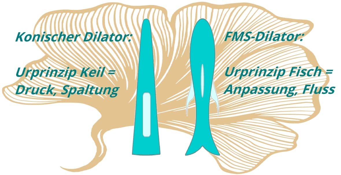 Unterschiede der Wirkung von Dilatoren
