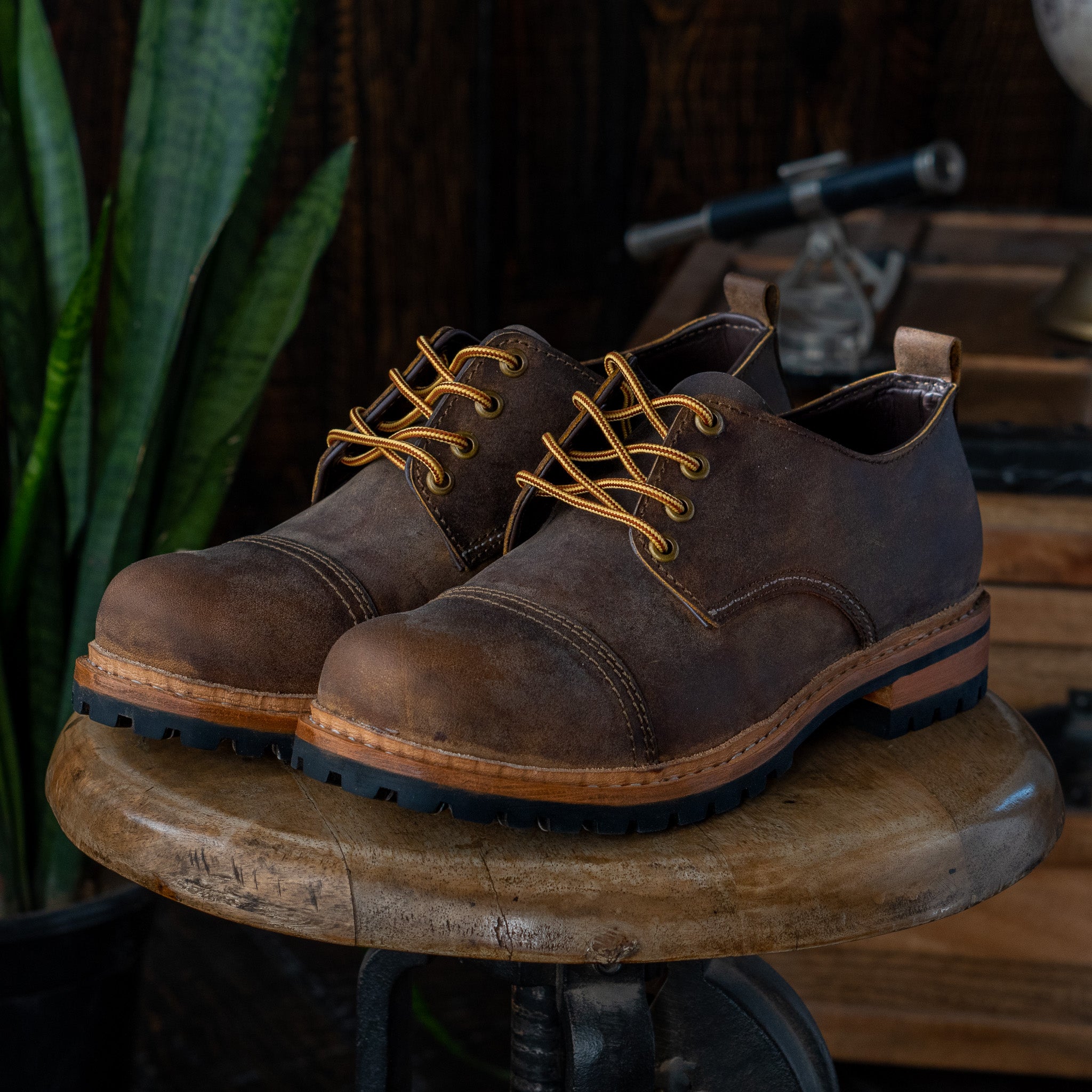 Ranger Toe-cap Shoe (Vintage Brown)