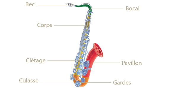 Anatomie d'un saxophone