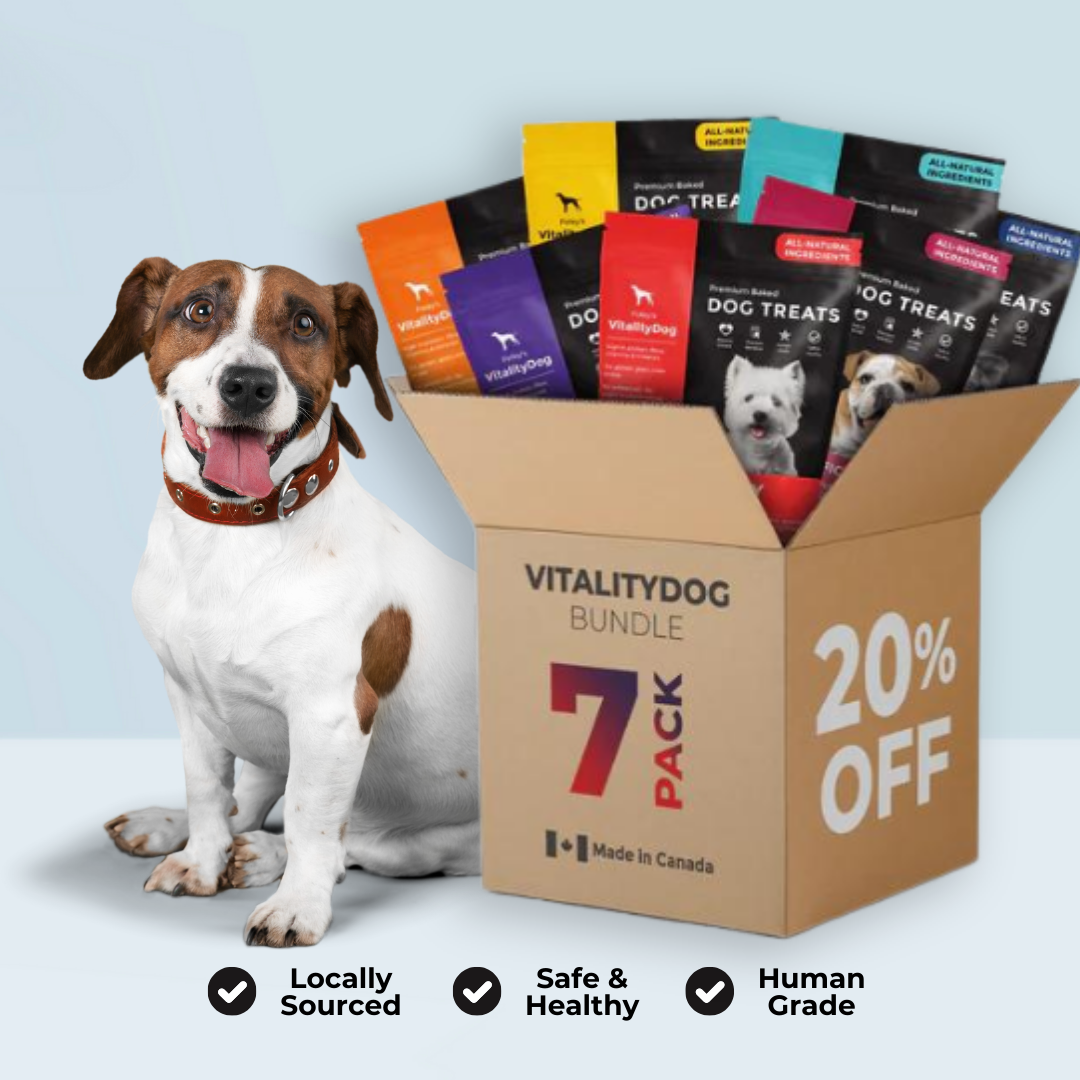 vitalitydog bundle.png__PID:62d7fd8e-85d3-4b0c-89ab-da964245a90f