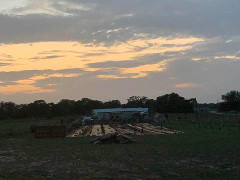 The back of our farm at sunset.