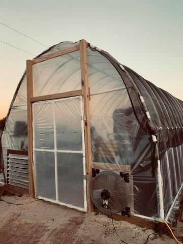 Greenhouse