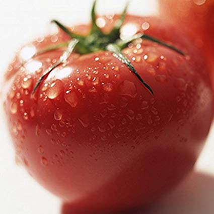 The hybrid Tycoon tomato is so good. Try it.