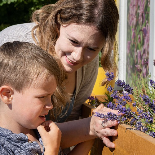 Enhanced Outdoor Learning Opportunities