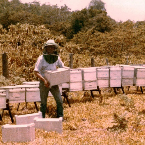 The Travelling Beekeeper